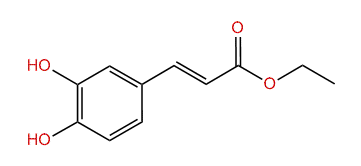 Ethyl 3,4-dihydroxycinnamate